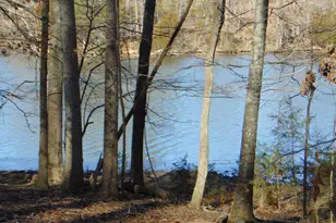 0 Bason Rd, Mebane, NC 27302 - Photo 29