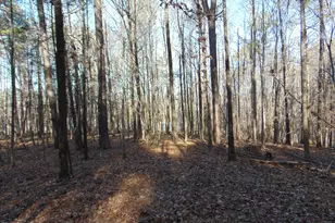 0 Bason Rd, Mebane, NC 27302 - Photo 25