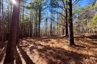 11901 Nc Hwy 86 S, Prospect Hill, NC 27314 - Photo 1