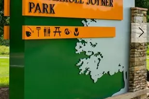 545 Purple Aster St, Youngsville, NC 27596 - Photo 5