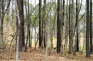 7944 Wexford Waters Ln, Wake Forest, NC 27587 - Photo 11