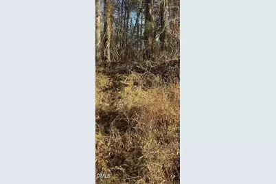 2548 Ferrell Road, Durham, NC 27704 - Photo 5