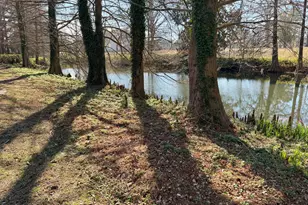 173 Park Cir, Faison, NC 28341 - Photo 3