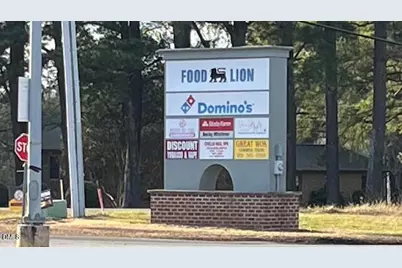 1572 Rhodes Pond Street, Wendell, NC 27591 - Photo 39