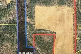 2822 Little River Church Rd, Hurdle Mills, NC 27541 - Photo 3