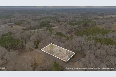0 W. Chavis Road, Kittrell, NC 27544 - Photo 1