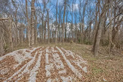 0 W. Chavis Road, Kittrell, NC 27544 - Photo 3