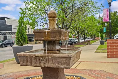 30 Amaryllis Lane #141, Angier, NC 27501 - Photo 23