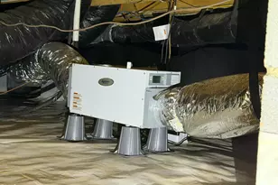 7243 Capulin Crest Dr, Apex, NC 27539 - Photo 55