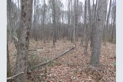 7375 Simmons Road, Castalia, NC 27816 - Photo 15