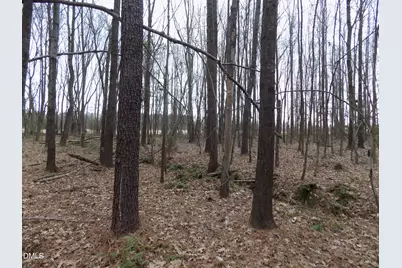 7375 Simmons Road, Castalia, NC 27816 - Photo 9