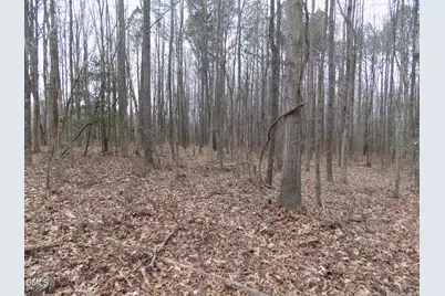 7375 Simmons Road, Castalia, NC 27816 - Photo 13