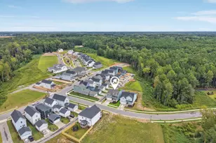 264 Big Bradley Dr, Wendell, NC 27591 - Photo 45