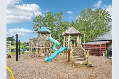 264 Big Bradley Drive, Wendell, NC 27591 - Photo 61