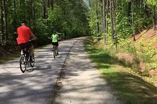 1051 Zelkova Ln, Chapel Hill, NC 27517 - Photo 27