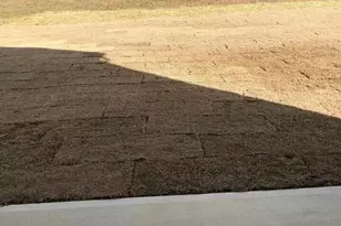 86 Blackthorn Ln, Angier, NC 27501 - Photo 13