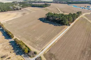 129 Cabin Branch, Tarboro, NC 27886 - Photo 35