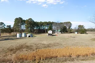 129 Cabin Branch, Tarboro, NC 27886 - Photo 43