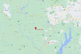 45 Meandering Way Ct, Chapel Hill, NC 27516 - Photo 55