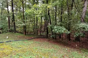 118 Windbyrne Dr, Cary, NC 27513 - Photo 41