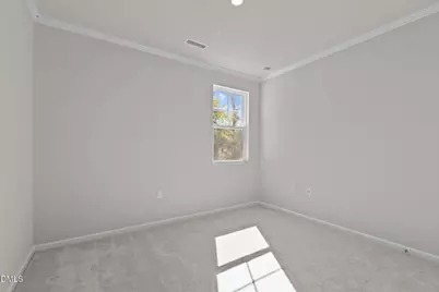 2202 Tulip Bloom Lane, Morrisville, NC 27560 - Photo 23