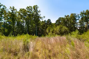 152 Bird Dog Dr, Angier, NC 27501 - Photo 29