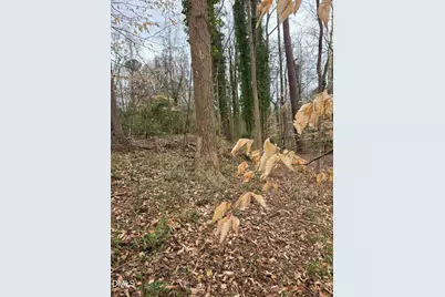 0 Johnson Street, Chapel Hill, NC 27516 - Photo 7