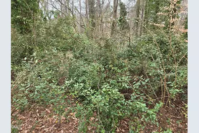 0 Johnson Street, Chapel Hill, NC 27516 - Photo 17