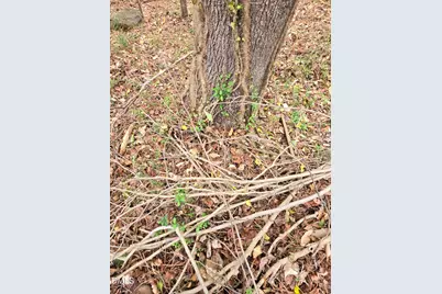 0 Johnson Street, Chapel Hill, NC 27516 - Photo 9