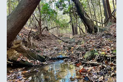 0 McDougald Road, Broadway, NC 27505 - Photo 27