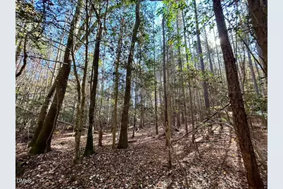 0 McDougald Road, Broadway, NC 27505 - Photo 25