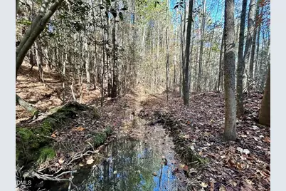 0 McDougald Road, Broadway, NC 27505 - Photo 29