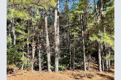 0 McDougald Road, Broadway, NC 27505 - Photo 17