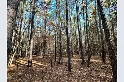 0 McDougald Road, Broadway, NC 27505 - Photo 19