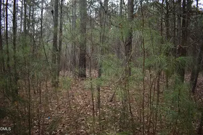 257 Piney Grove Church Road, Siler City, NC 27344 - Photo 5