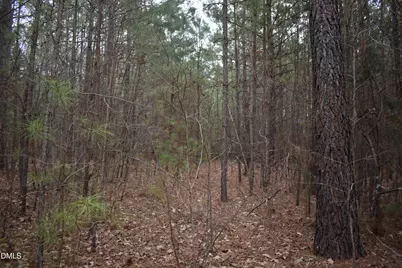257 Piney Grove Church Road, Siler City, NC 27344 - Photo 7
