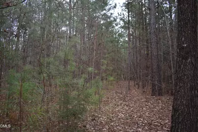 257 Piney Grove Church Road, Siler City, NC 27344 - Photo 13