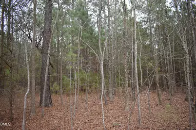 257 Piney Grove Church Road, Siler City, NC 27344 - Photo 11