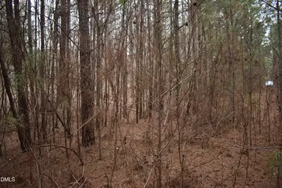 257 Piney Grove Church Road, Siler City, NC 27344 - Photo 3