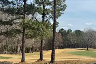 1309 Eagleson Ln, Wake Forest, NC 27587 - Photo 17