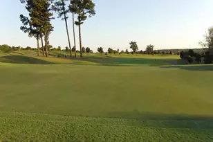 217 Balboa Pkwy, Clayton, NC 27520 - Photo 17