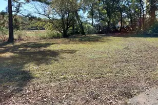 304 E Green St, Macclesfield, NC 27852 - Photo 9