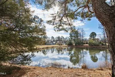 309 Bridgegate Drive, Cary, NC 27519 - Photo 41