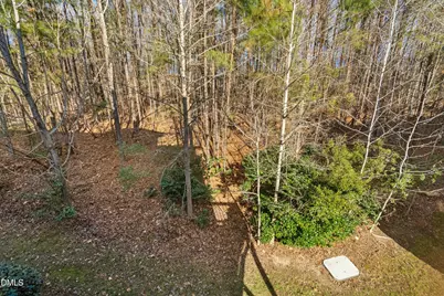 309 Bridgegate Drive, Cary, NC 27519 - Photo 35