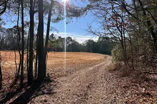 2888 Zacks Mill Rd, Angier, NC 27501 - Photo 3