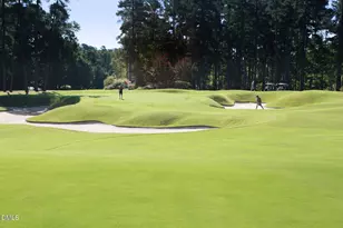 84401 Winslow, Chapel Hill, NC 27517 - Photo 65