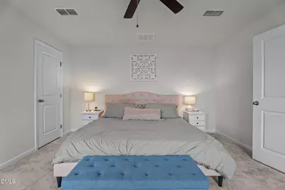 304 Dianella Street, Wendell, NC 27591 - Photo 13