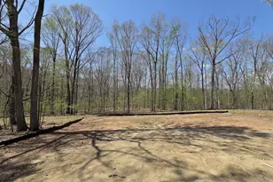 6477 Sanctuary Fls Dr, Raleigh, NC 27614 - Photo 31