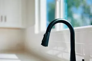 336 Murray Grey Ln, Wake Forest, NC 27587 - Photo 21