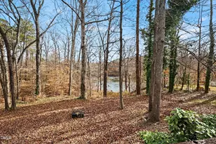 73 Waters Edge Dr, Erwin, NC 28339 - Photo 49